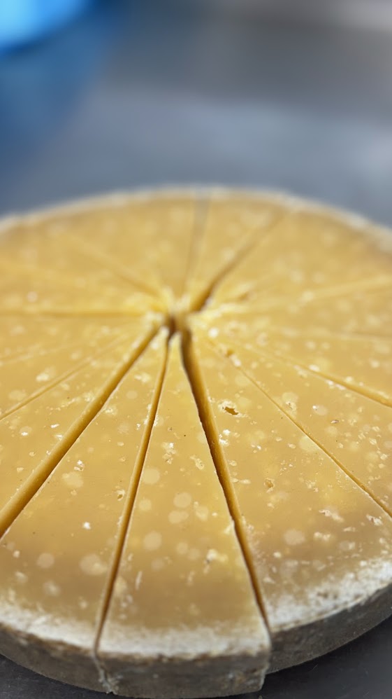 A wedge of Alparm, a 2-year aged farmstead alpine cheese, showing its golden rind and firm, crystalline interior.