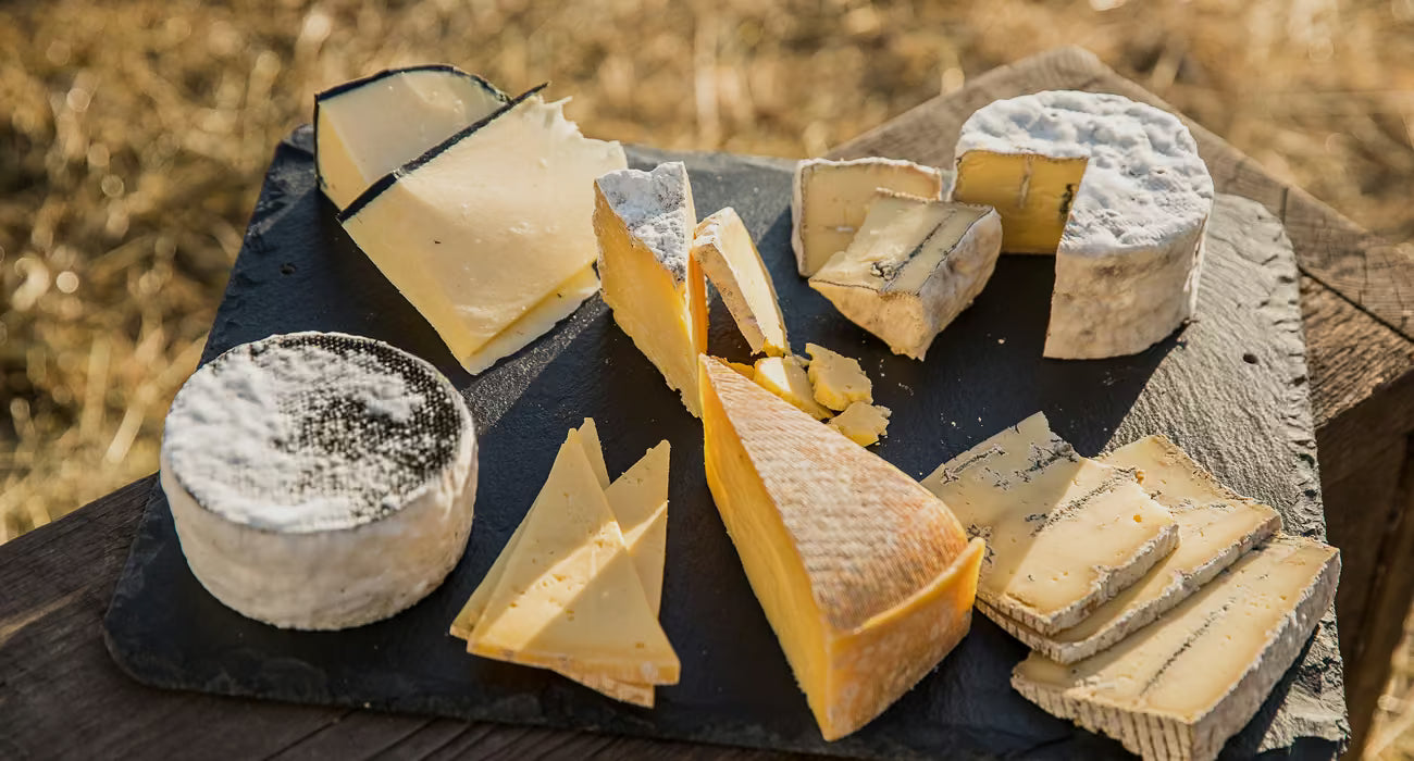 slider image 1621243260e1af0c20-1